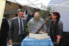 Il sindaco Marini al gazebo dei bonsai