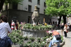 San pellegrino in fiore