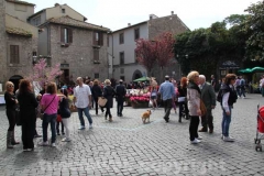 San pellegrino in fiore