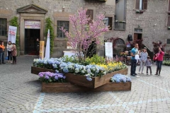 San pellegrino in fiore