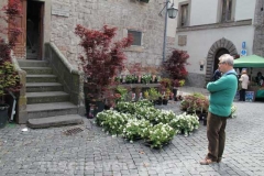 San pellegrino in fiore