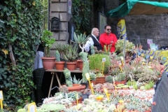 San pellegrino in fiore