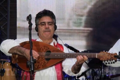 I mandolinisti