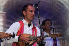 I mandolinisti