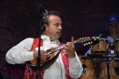 I mandolinisti