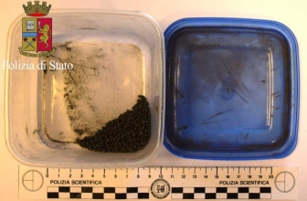 Armi, ordigni ed esplosivo: l'arresto di Denis Illarionov