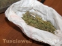 Un chilo e mezzo di marijuana, due in manette