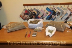 La marijuana sequestrata dalla mobile