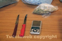 La marijuana sequestrata dalla mobile