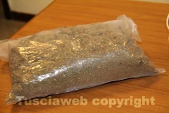 La marijuana sequestrata dalla mobile