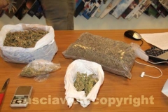 La marijuana sequestrata dalla mobile