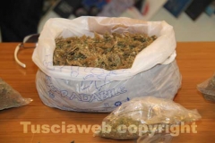 La marijuana sequestrata dalla mobile