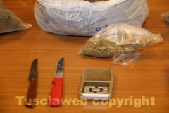 La marijuana sequestrata dalla mobile