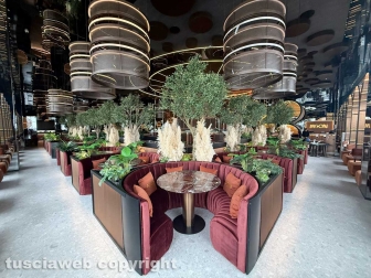 Viterbo - Arriva il Moon Sushi