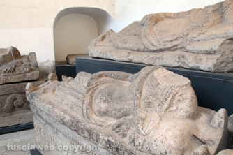 Festival degli Etruschi