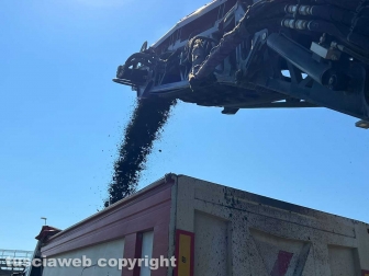 Viterbo - Asfaltatura Cassia Nord - Traffico in tilt