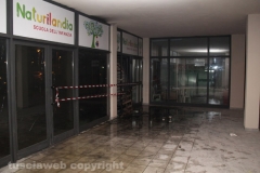 Viterbo - Scuola d\'infanzia distrutta dalle fiamme