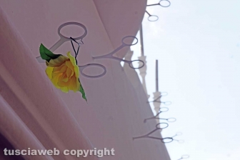 Assemblaggio concluso, manca solo Rosa