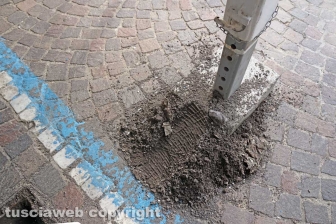 Assemblaggio concluso, manca solo Rosa