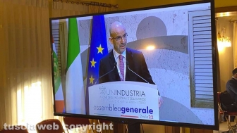 Angelo Camilli