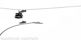 135 - Largo Antonio Meucci Viterbo - 6x3 - Daniele Camilli