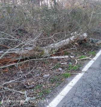 Viterbo - Incidente sulla Cimina