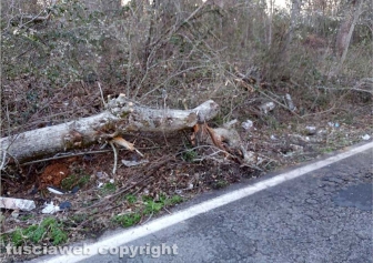 Viterbo - Incidente sulla Cimina