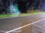 Auto finisce fuori strada e cappotta, un morto