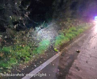 Auto finisce fuori strada e cappotta: muore 19enne, grave l’amico