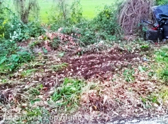 Montefiascone - Auto fuori strada finisce nella scarpata sulla Verentana