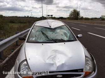 Viterbo - Auto travolge e uccide ciclista