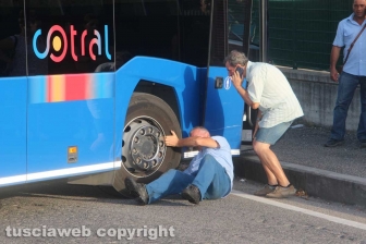 Autobus Cotral si sfrena