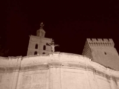 Avignone