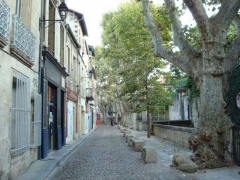 Avignone