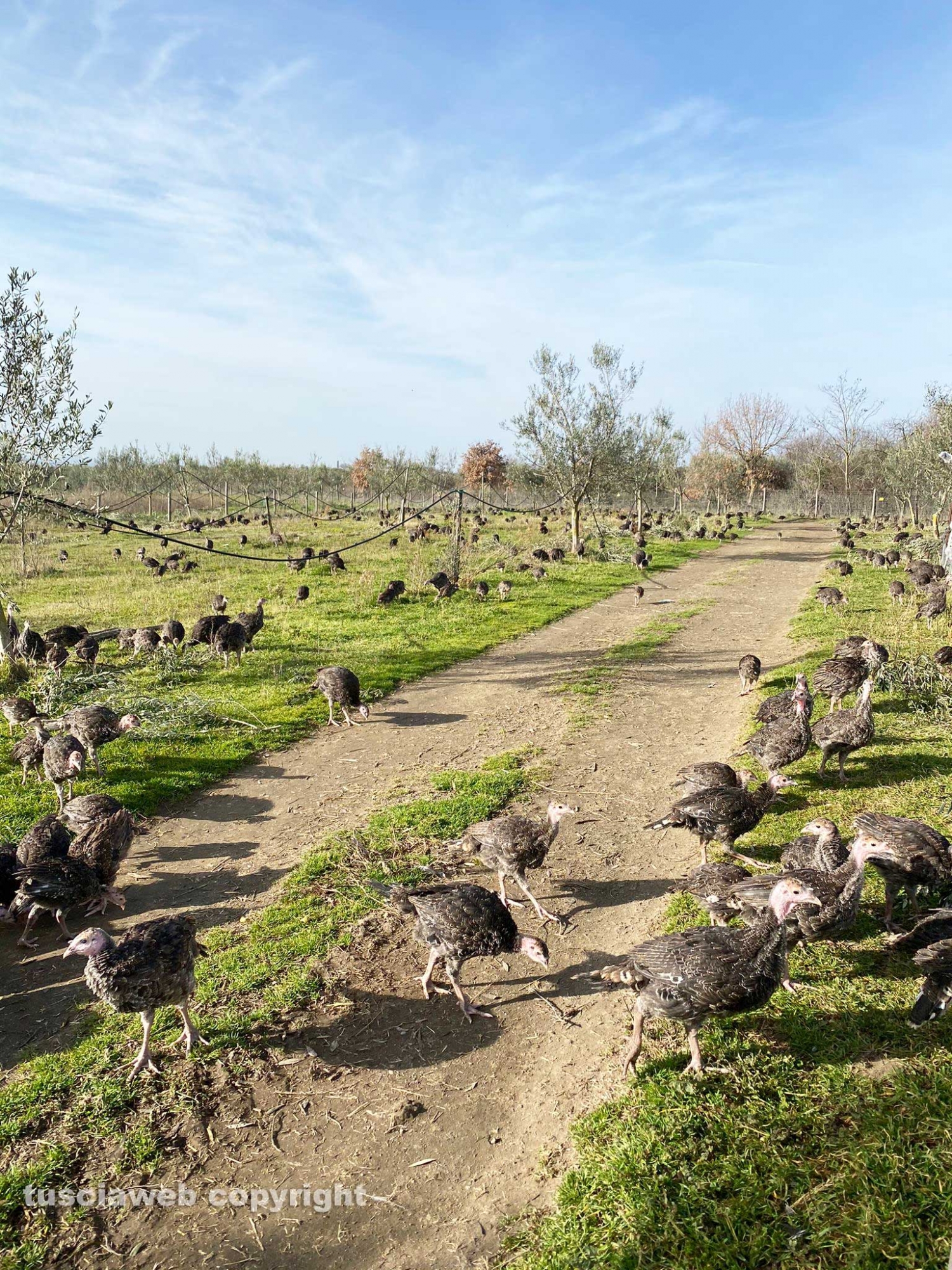 Azienda San Bartolomeo