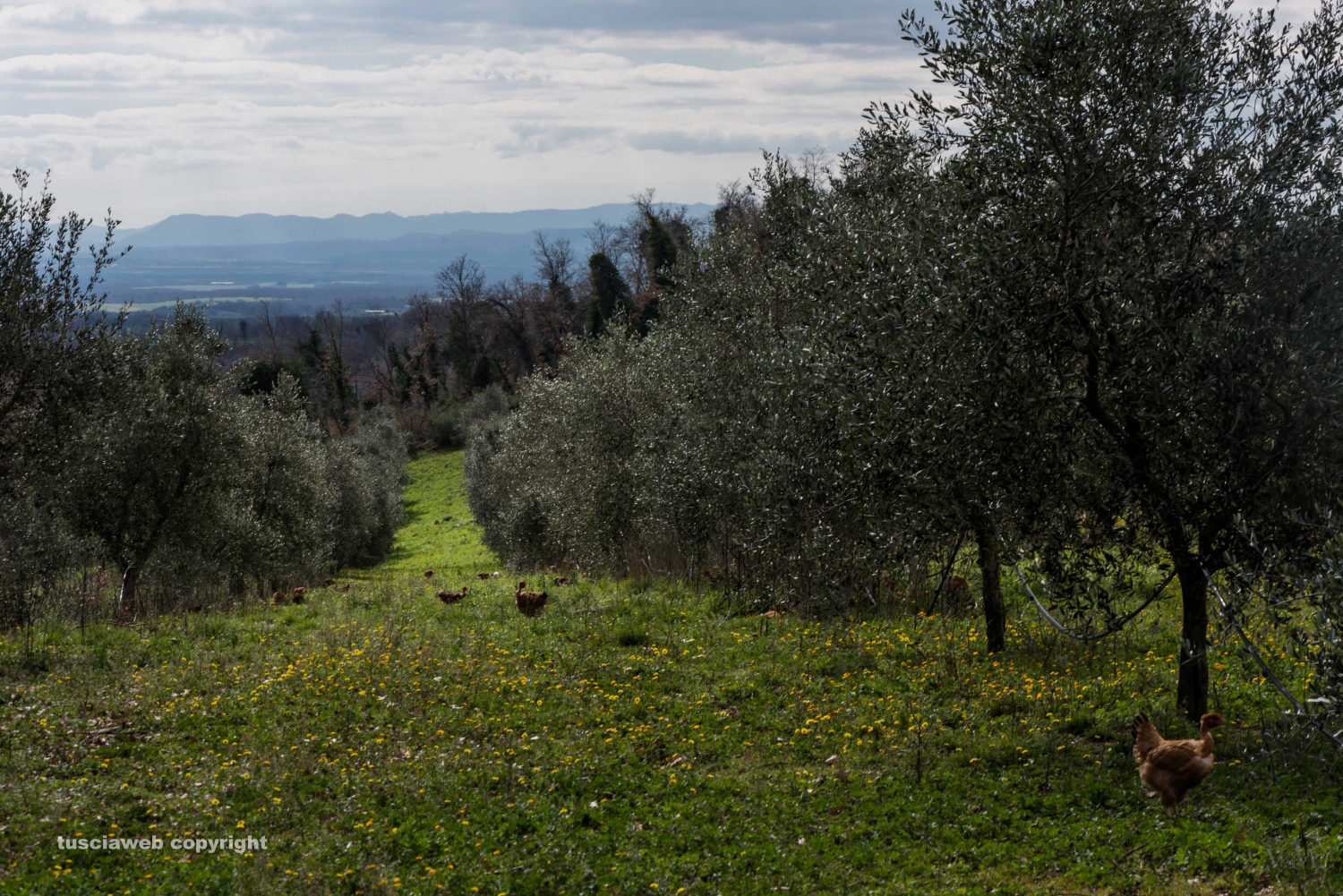 Azienda San Bartolomeo