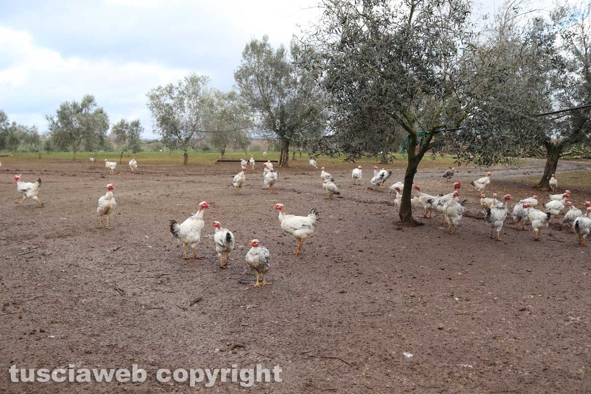Azienda San Bartolomeo