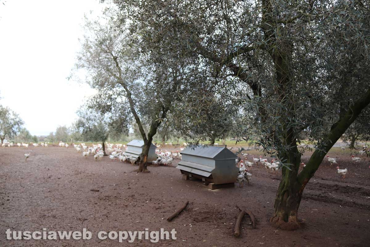 Azienda San Bartolomeo
