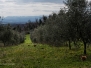 Azienda San Bartolomeo