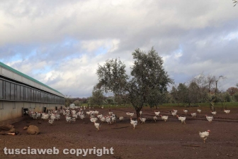 Azienda San Bartolomeo