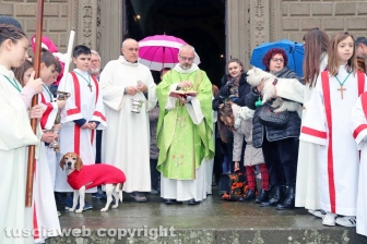 Viterbo - Basilica della Quercia - La benedizione degli animali