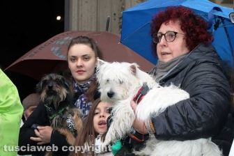 Viterbo - Basilica della Quercia - La benedizione degli animali