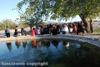 “Beatrice e le altre?" al Bulicame