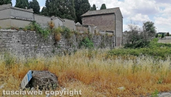 Bagnaia - Erbacce fuori dal cimitero