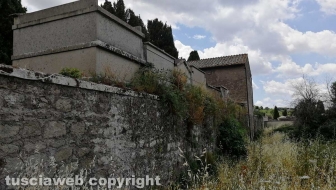 Bagnaia - Erbacce fuori dal cimitero