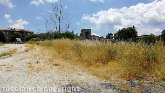 Bagnaia - Erbacce fuori dal cimitero