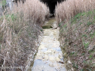 Boati a Orte, i sopralluoghi del sindaco