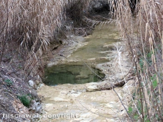 Boati a Orte, i sopralluoghi del sindaco