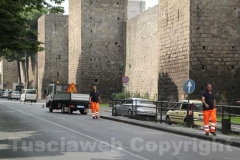 Bomba a viale Capocci