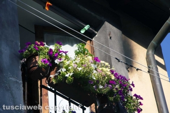 Viterbo - Bomba incendiaria nel centro storico